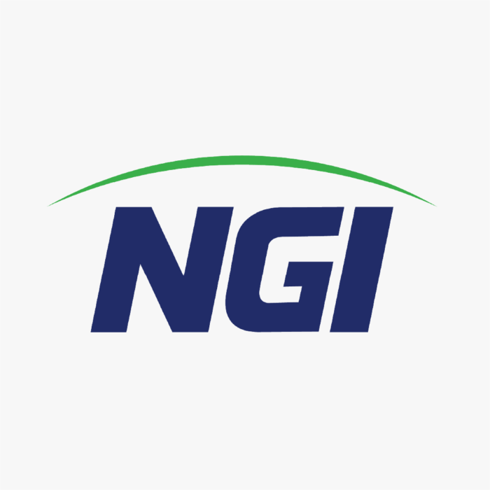 NGI insurance insurance